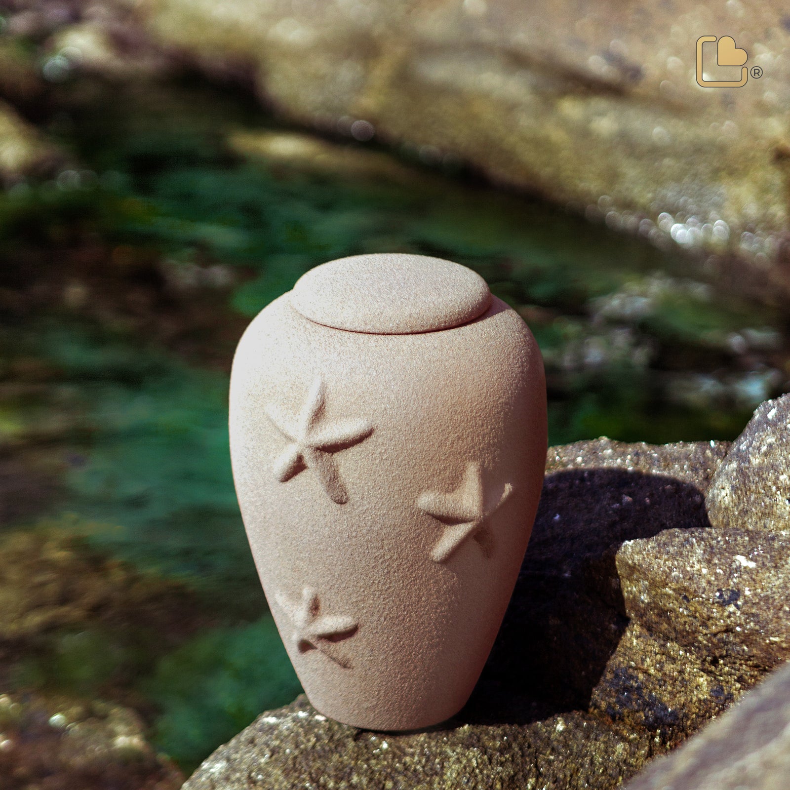 BA111 StarFish Standard Adult Urn Eco Sand