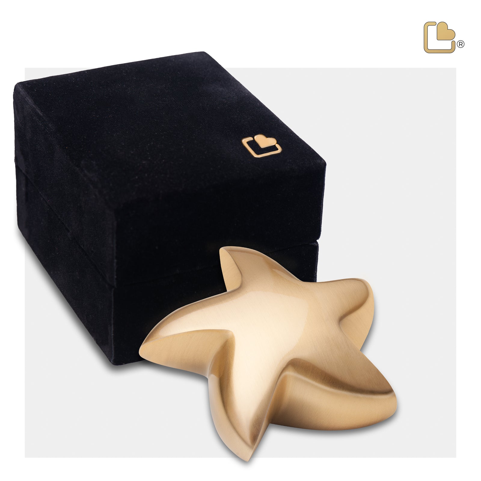 K620 Angelic Star Keepsake Urn Bru Gold