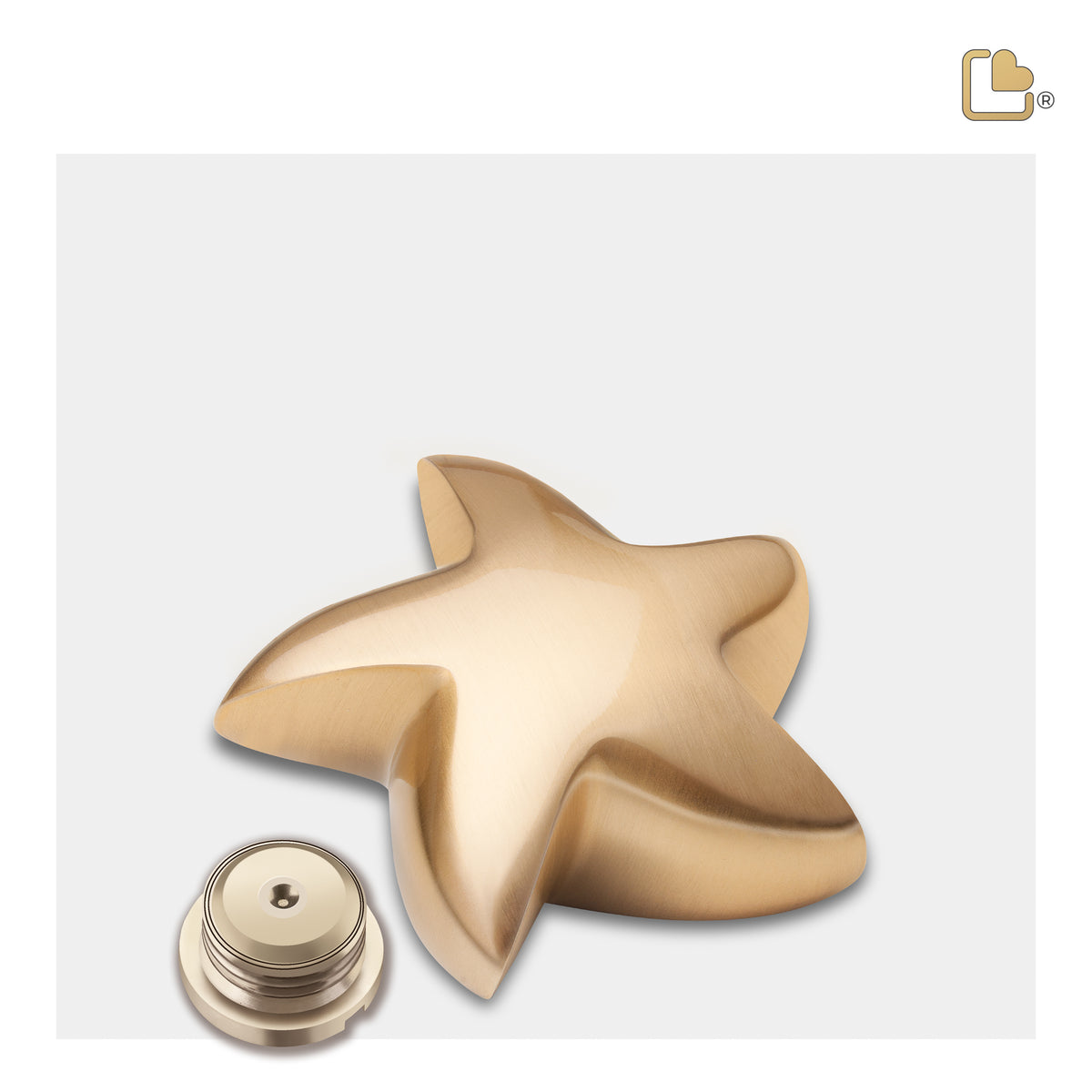 K620   Angelic Star Keepsake Urn Bru Gold